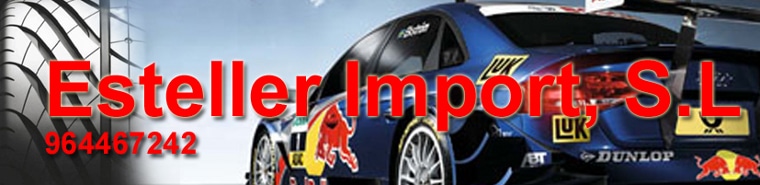 neumaticos cambio de neumaticos Castellón Esteller Import